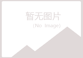 吉安紫山建设有限公司